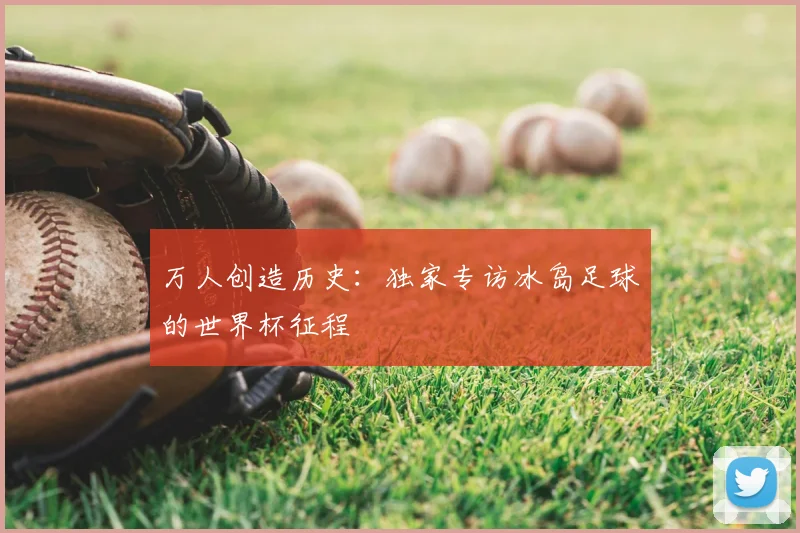 万人创造历史:独家专访冰岛足球的世界杯征程