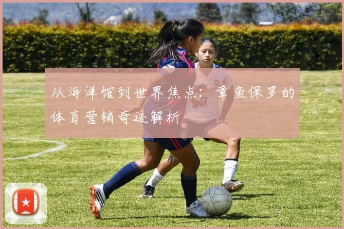 从海洋馆到世界焦点：章鱼保罗的体育营销奇迹解析