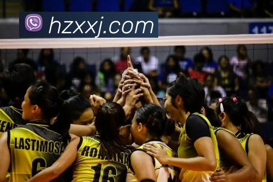 星空体育官网平台生态图